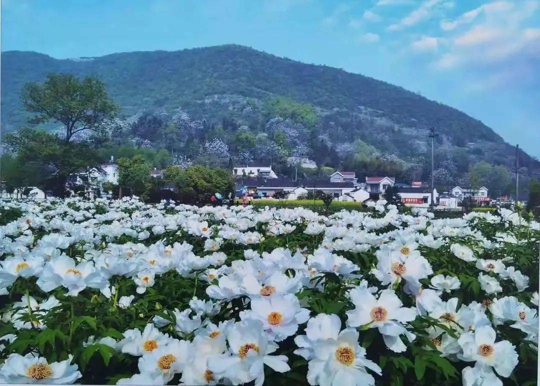 銅陵十大景區推出免費政策_旅遊_文化_浮山