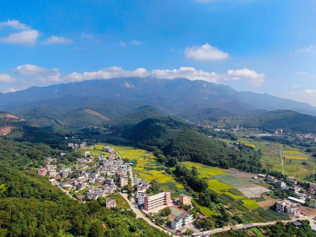 咔嚓～来博罗,拍一张"蓝底证件照"!_天空_蓝天为_罗阳街