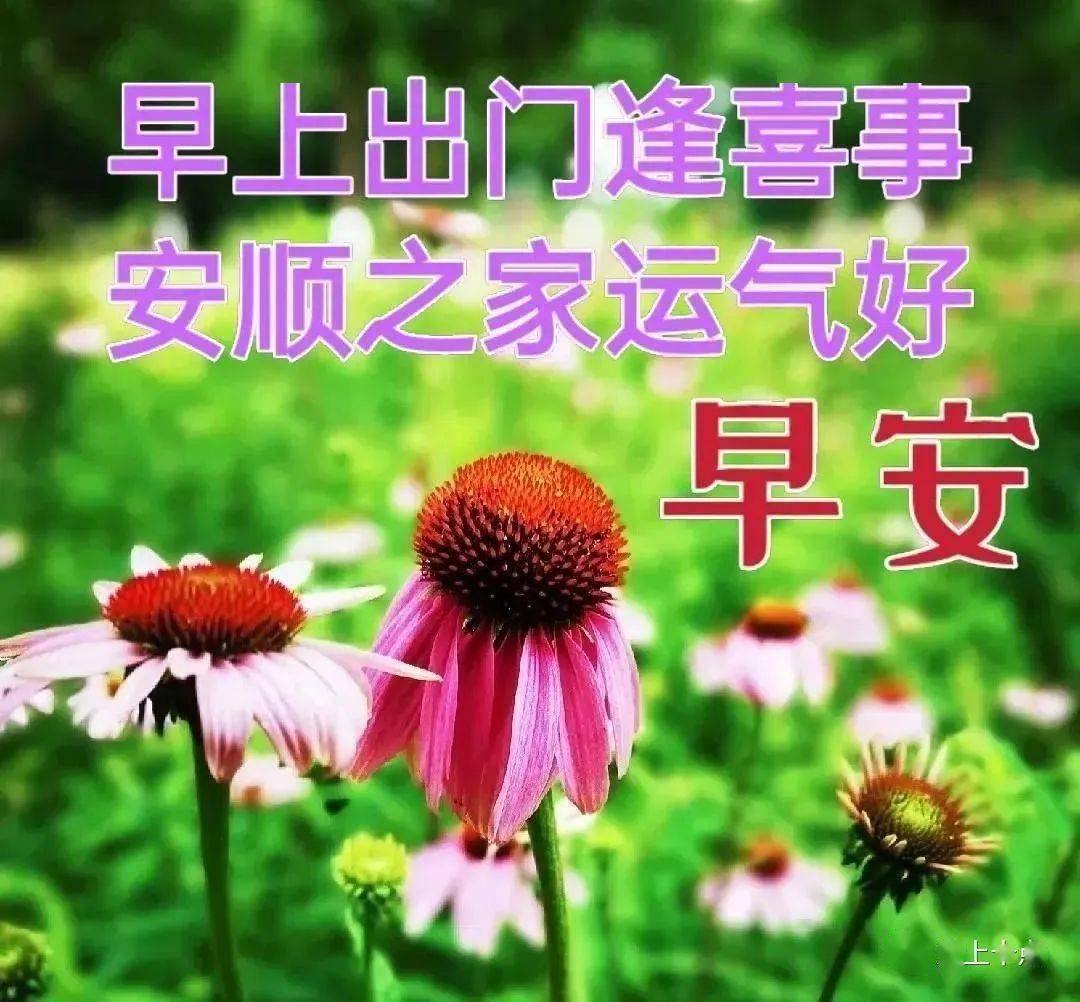 今日最新早上好图片大全,相互牵挂,快乐同行_生活_人生_心态