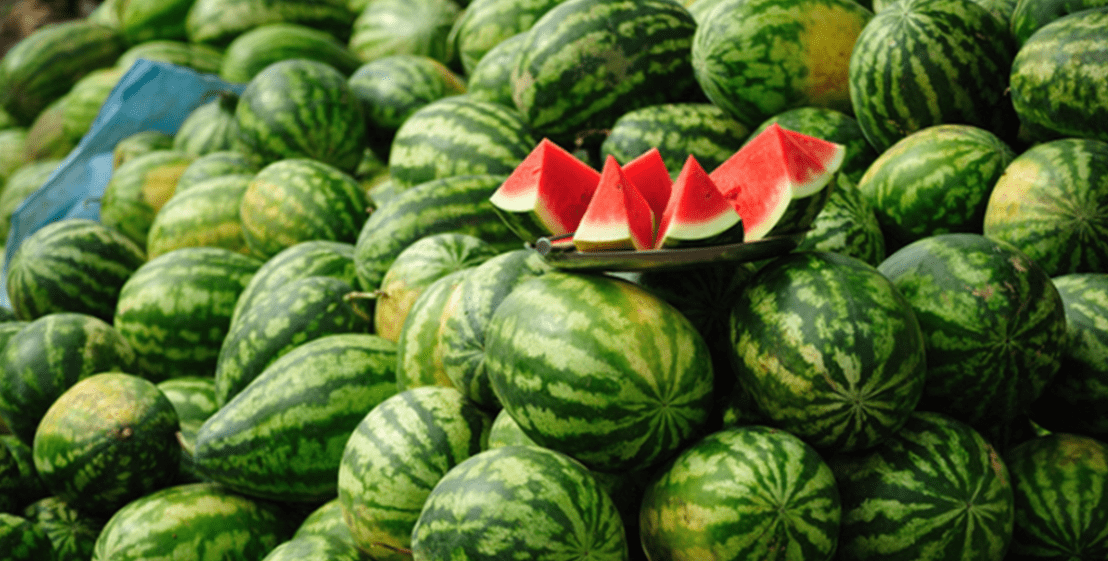 三伏天到来,吃西瓜是升血糖,还是降血糖?糖尿病人能不能吃?