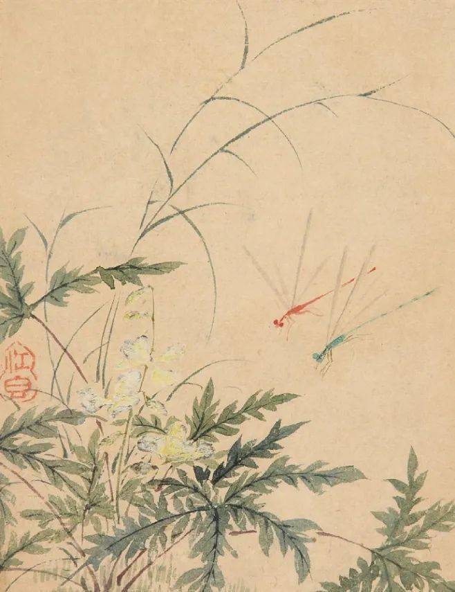 马荃:花鸟虫草图册_国画_江香_花卉