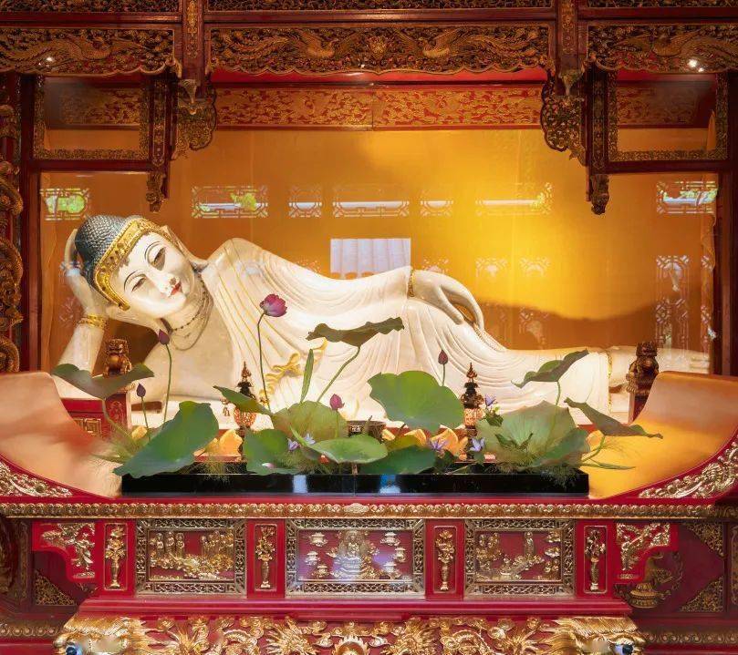 这个周末"善缘荷合"一起来_菩萨_莲花_大宝
