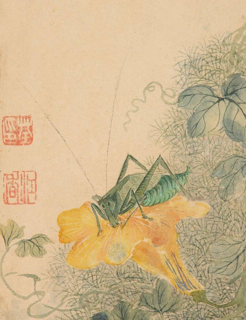 马荃:花鸟虫草图册_国画_江香_花卉