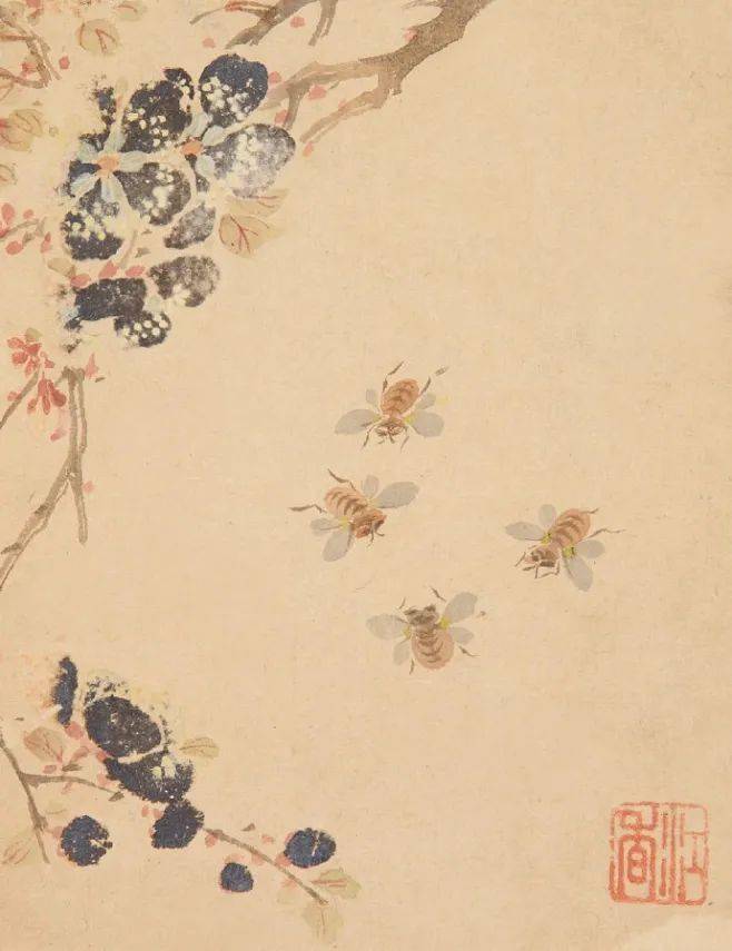 马荃:花鸟虫草图册_国画_江香_花卉