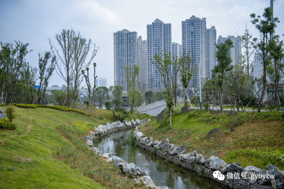 【爽爽贵阳避暑季】 白云区七彩湖华丽蜕变绘就生态画卷_市民_湖水