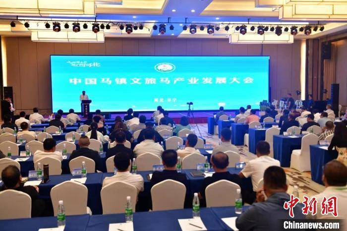 首届中国马镇文旅马产业发展大会举行 开通首条体育旅游马道