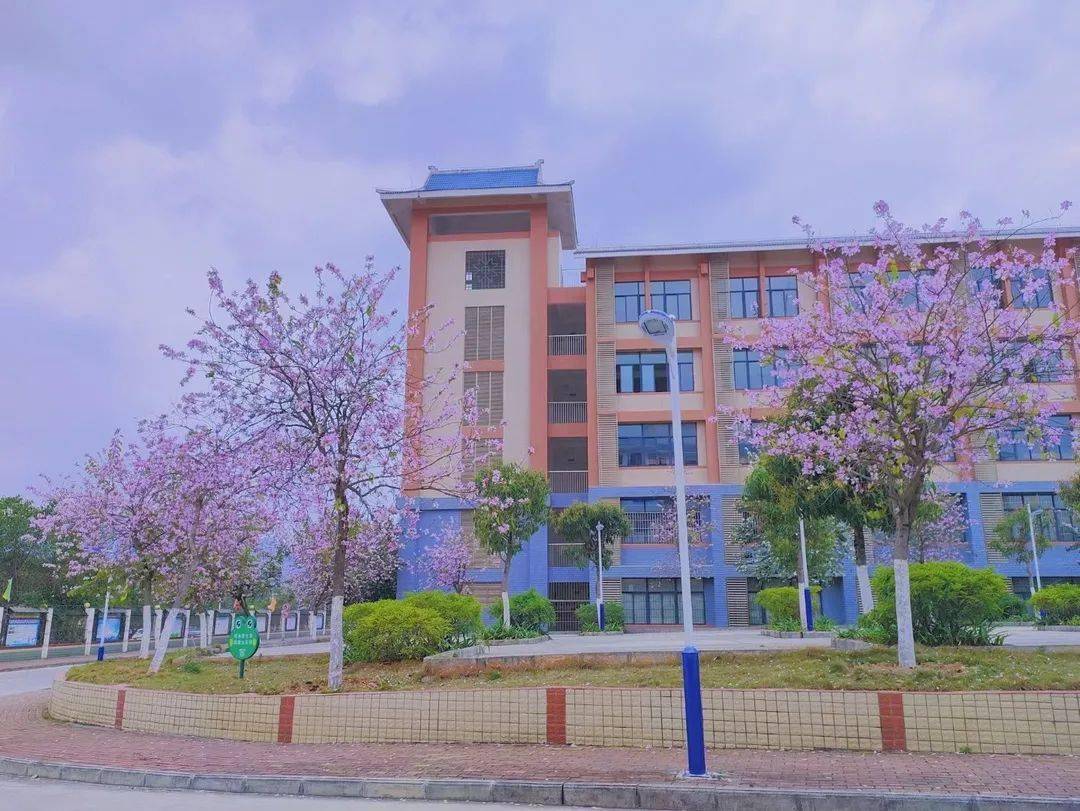 都安瑶中2023年高一新生招生简章_教育_活动_我校