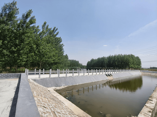 莒南县板泉镇杨化国:头雁领航有干劲,实干担当开新局_老百姓_村里