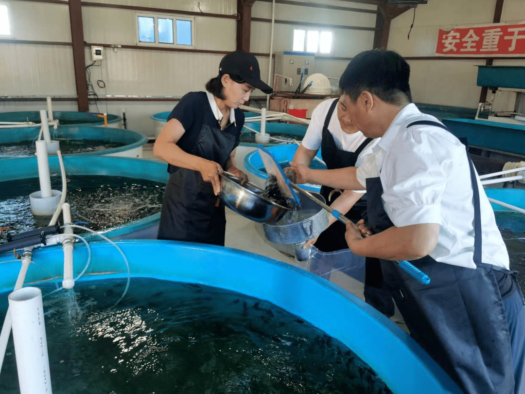 2023年度黑龙江省水生动物资源养护中心施氏鲟增殖放