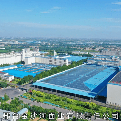 【喜讯】金沙河集团成功入选2022年度乡村产业振兴典型案例_发展_企业