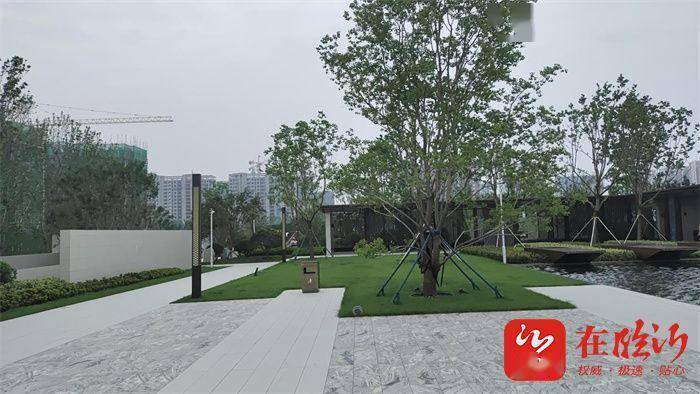 走在前 进位次 提水平丨临沂国际生态城集团:建好民生工程 赋能城市