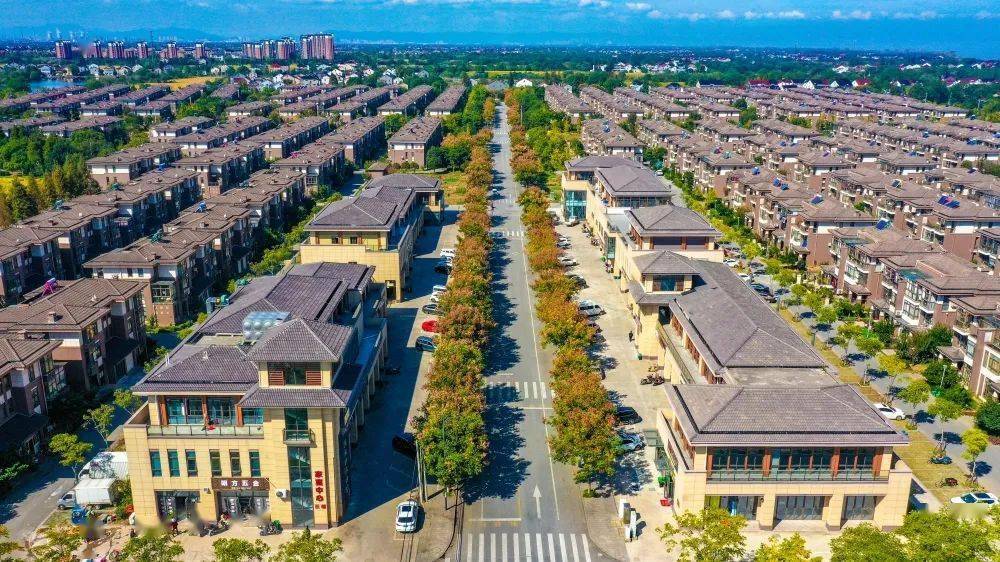 久久为功 履职不歇 看太湖之滨这个小村的富美"蝶变"_顾琪辉_图影村