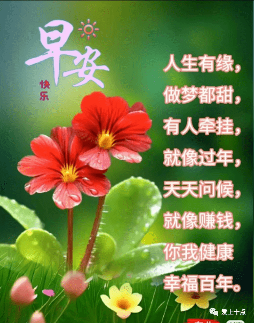 彼此牵挂的图片 祝福图片