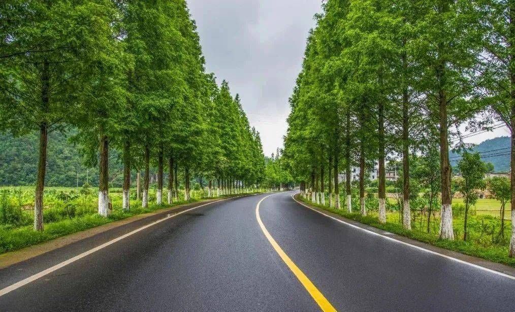 临海的这些路美爆了!这个夏天快来打卡吧!_公路_东湖_兰田