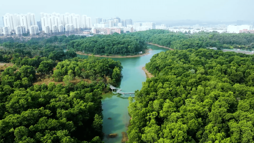 坪山区以河流治理为核心,以城市为支撑,创新提出"重塑滨水空间,构建