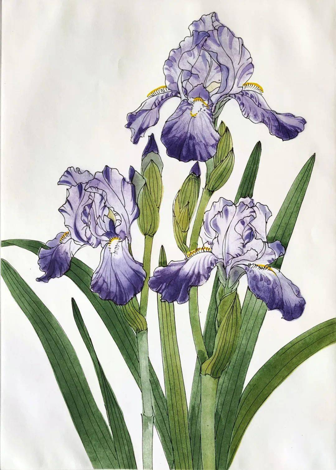 散花天女丨常沙娜版画作品赏析_she_in_crafts