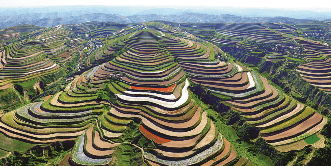 黄土高原水平梯田图片