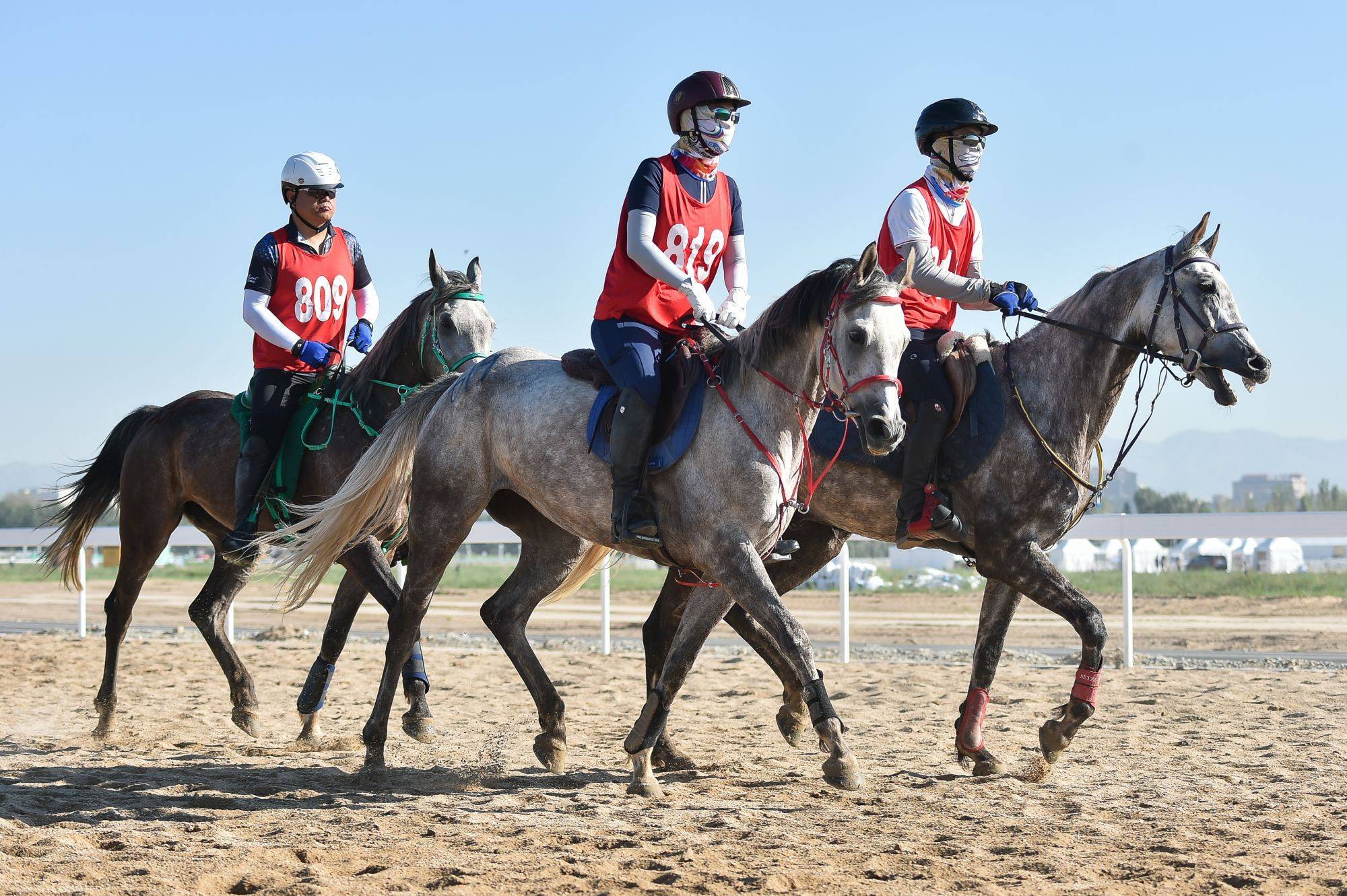 2023中国马术协会40公里,80公里耐力达标赛在包头激情开赛_赛事_草原