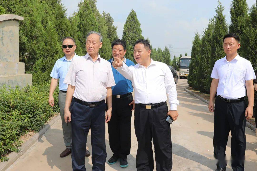 滕州籍将军张振德,刘子贤,孔令义,李晓亮来滕调研_建设_工作_少将