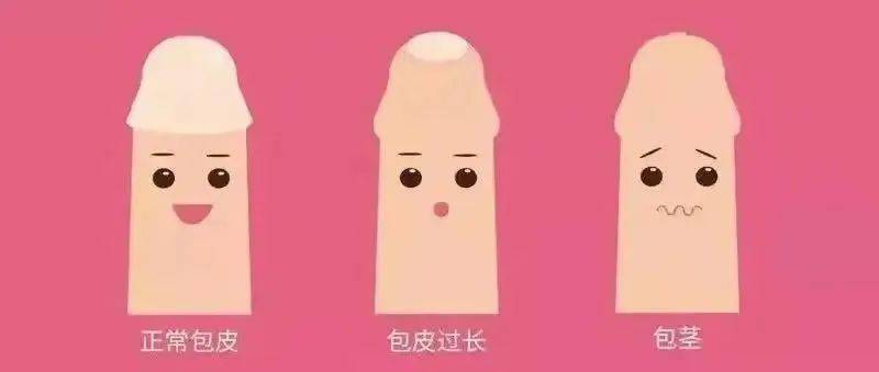 几岁割?