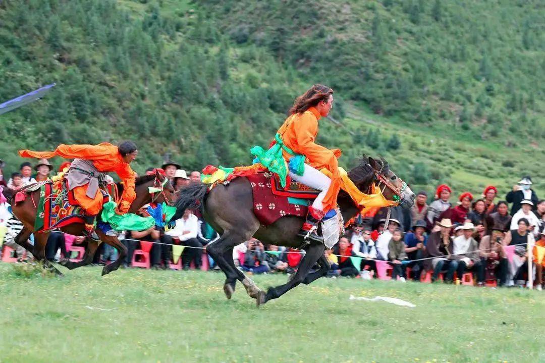 马术表演,锅庄展演,美食体验……一场场精彩纷呈的文化盛会点燃新龙