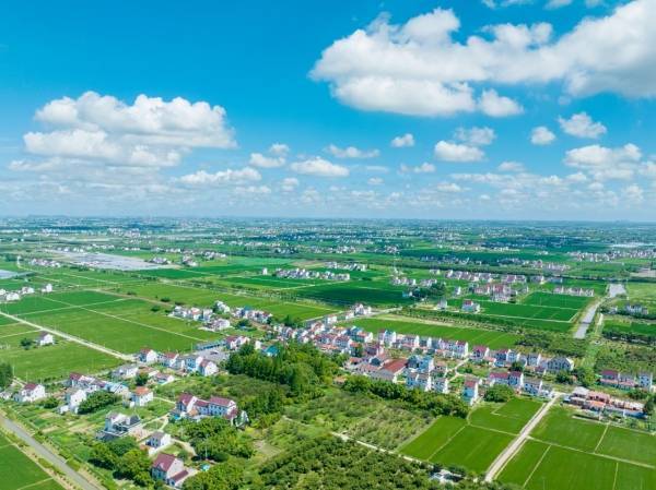 金山这里的乡村面貌按下"美颜键"_整治_村民_朱泾镇