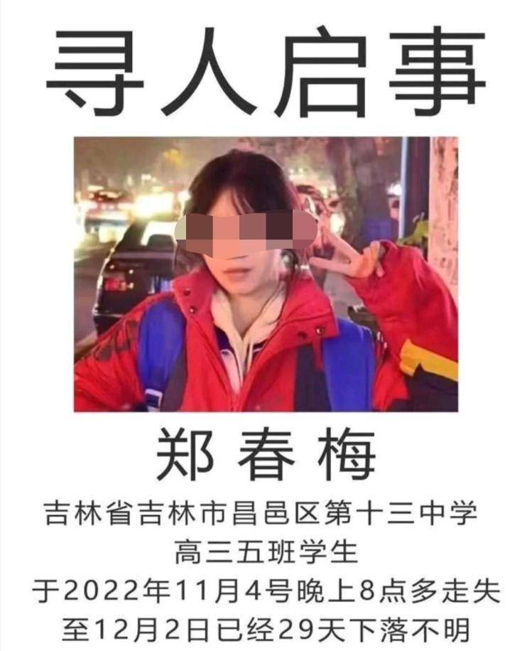 吉林市12岁女孩失踪图片