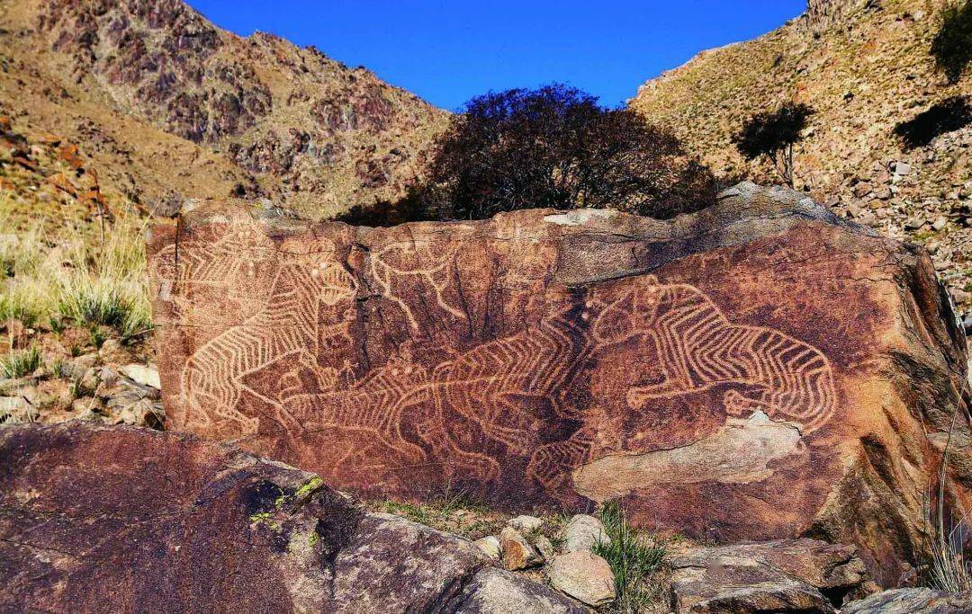 你好,我叫巴彦淖(nào)尔丨阴山岩画: 探寻古代游牧民族的生活图卷