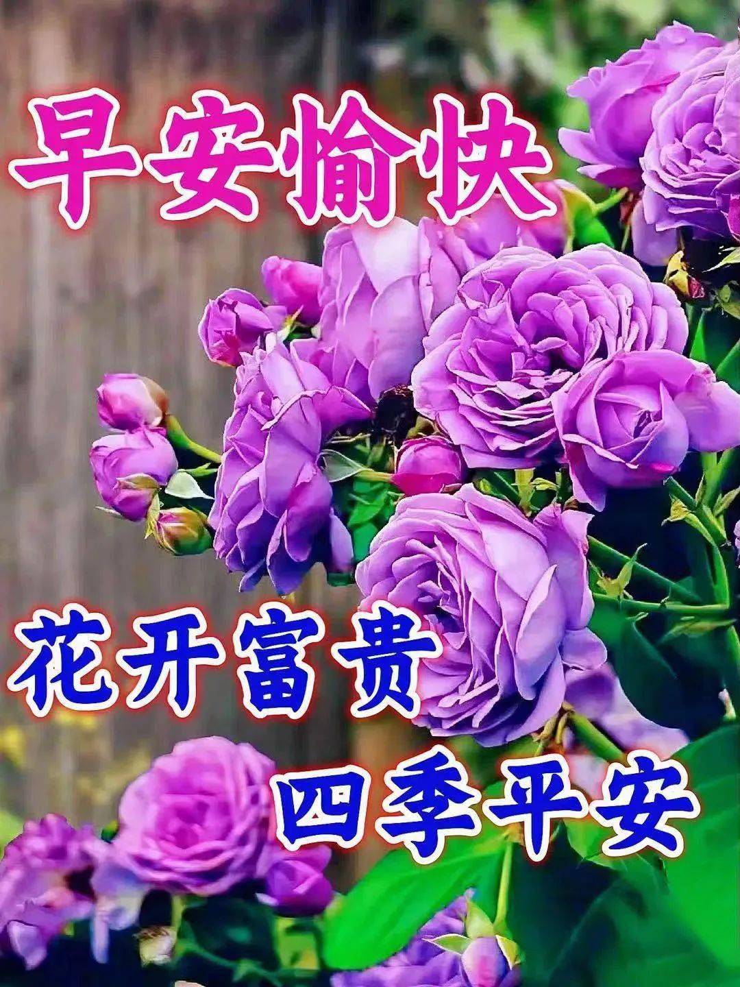 最漂亮的早上好暖心问候大全,今天最新早上好问候语!_祝福_短信_人生