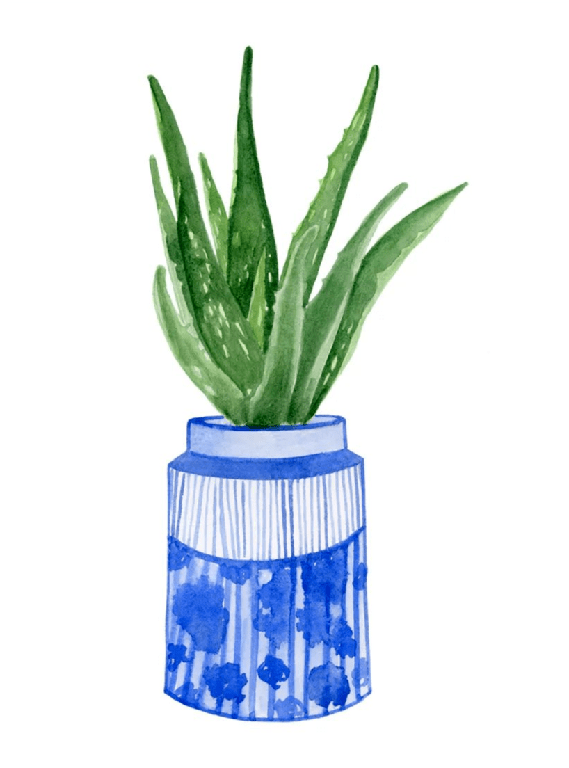 免费学习更多彩铅水彩知识