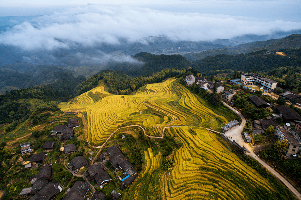 福建纪检监察南平市纪委监委 延平区纪委监委制作:延平区融媒体中心