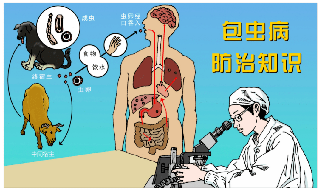 包虫病恐怖图片自己图片