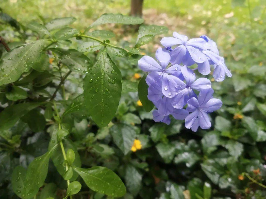 做闪闪发光的我们_生活_花花世界_出发