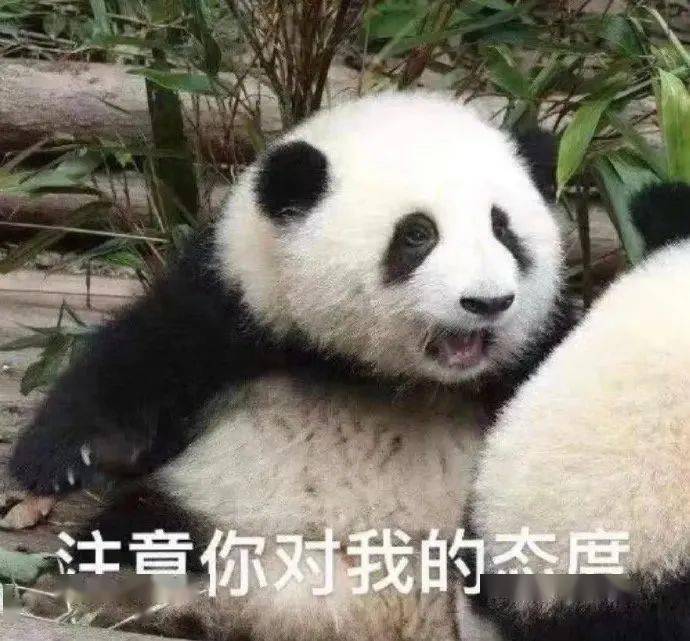 超有趣的表情包:肾虚崽崽要凶我了_公众_il_因为