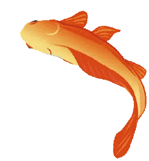 294_318gif 动态图 动图