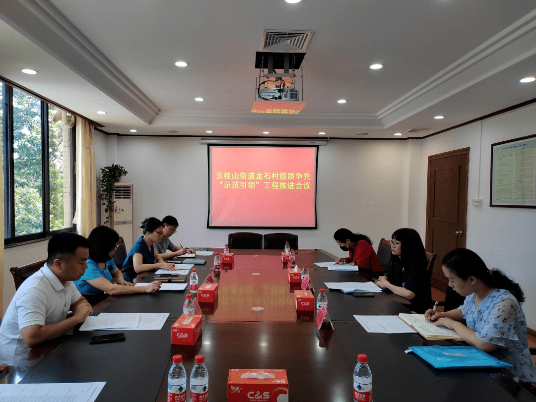 “示范引领”提质效|抓党建、聚合力!市民政局助力龙石村“示范引领”工程攻坚发展_工作_五桂山街道_乡村