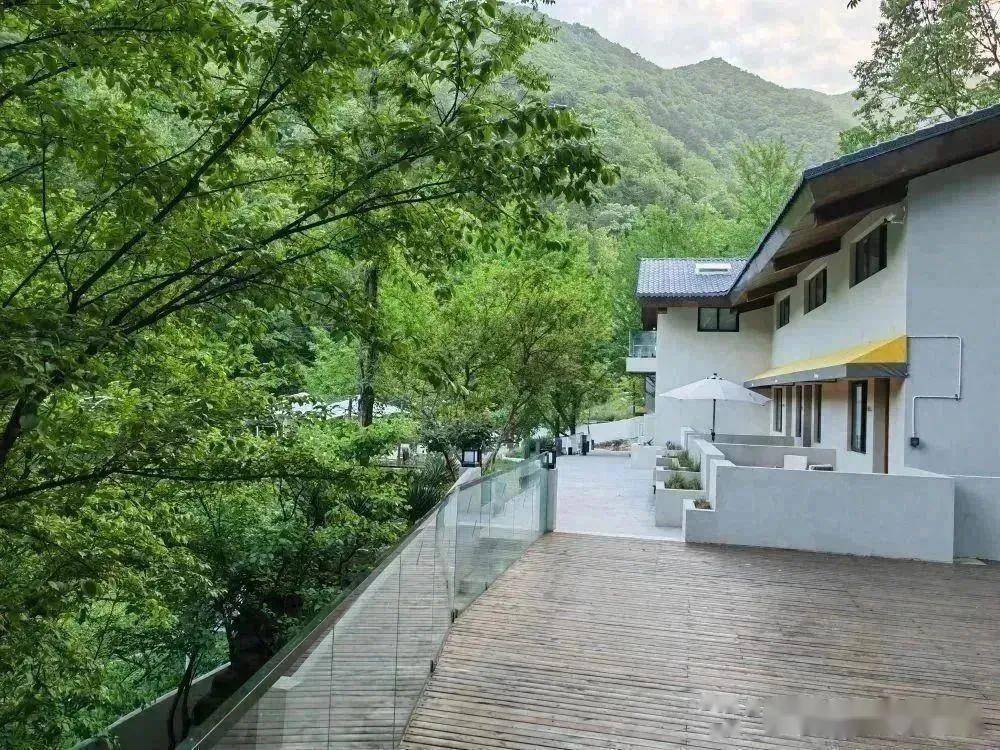 汉中这些宝藏民宿中,藏着凉飕飕的夏天!_佛坪_休闲_沙窝村