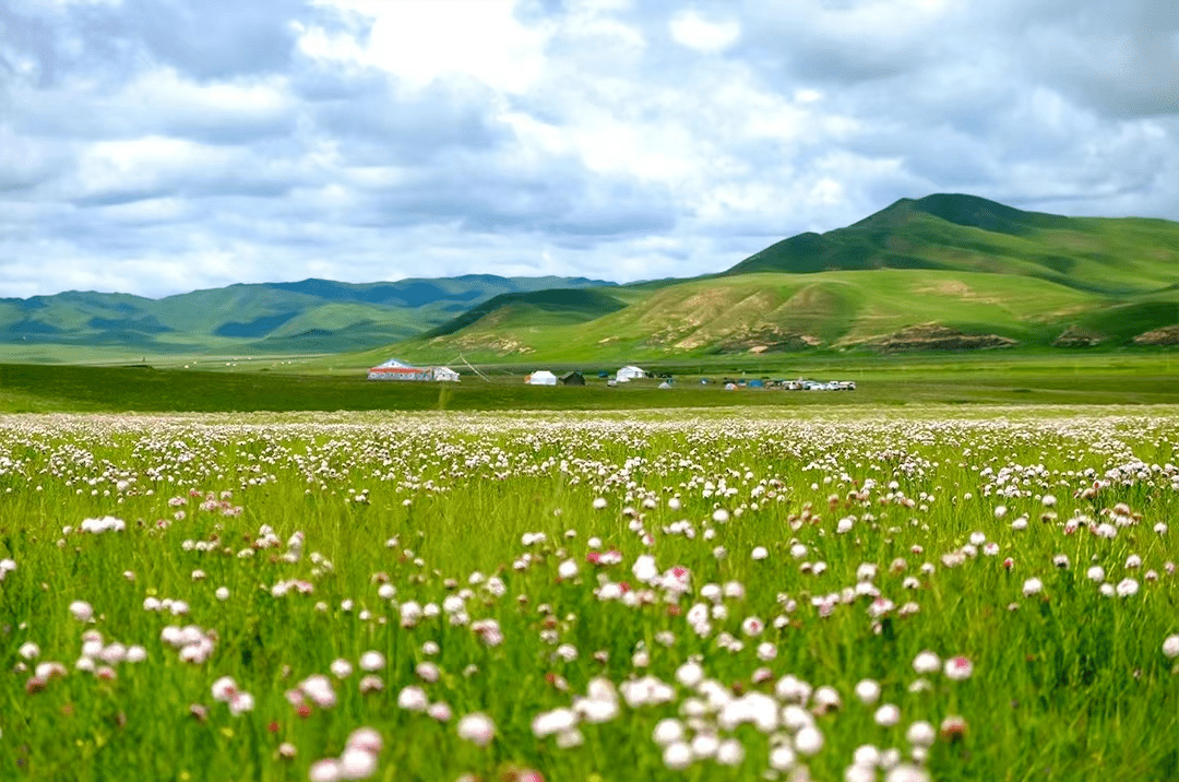 甘孜大草原图片