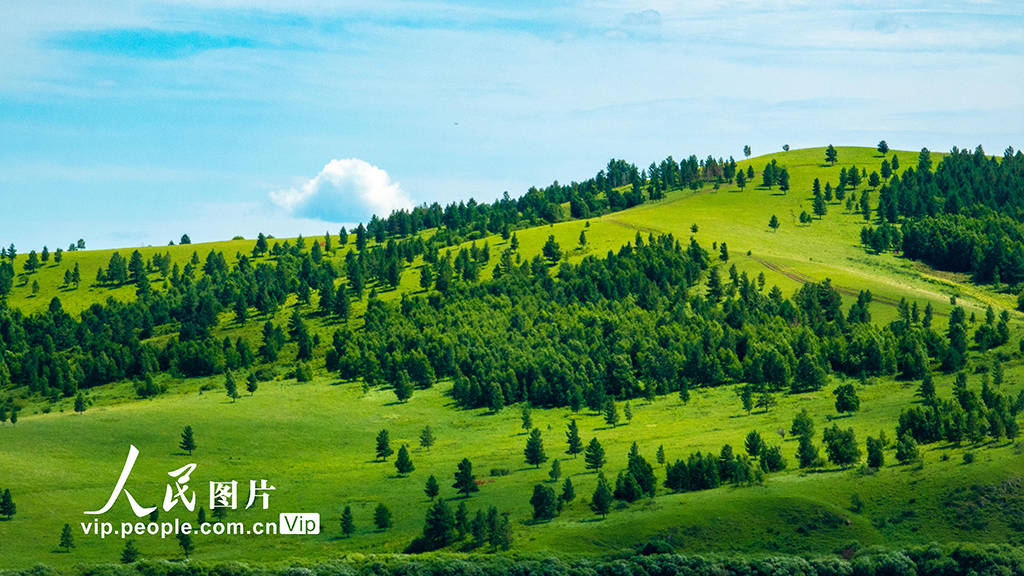 内蒙古呼伦贝尔:夏日草原景色美_频道_图片