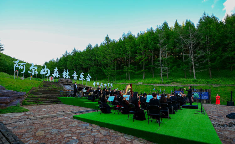 在阿尔山的森林里,听一场音乐会