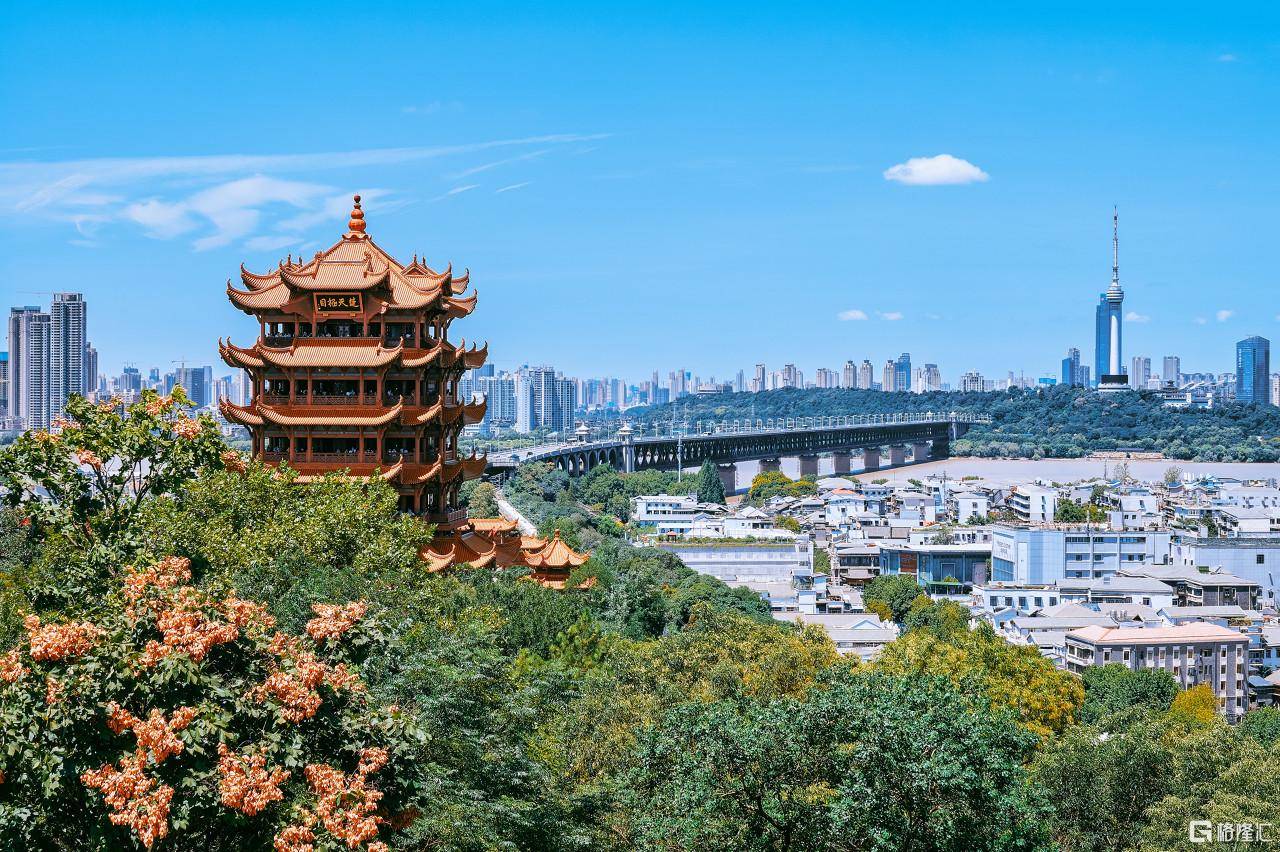 超大城市武汉,下一个一线?_上海_孙中山_全国