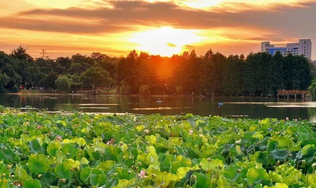 "混"在乐平,让我感受最大的是._生活_县城_小城