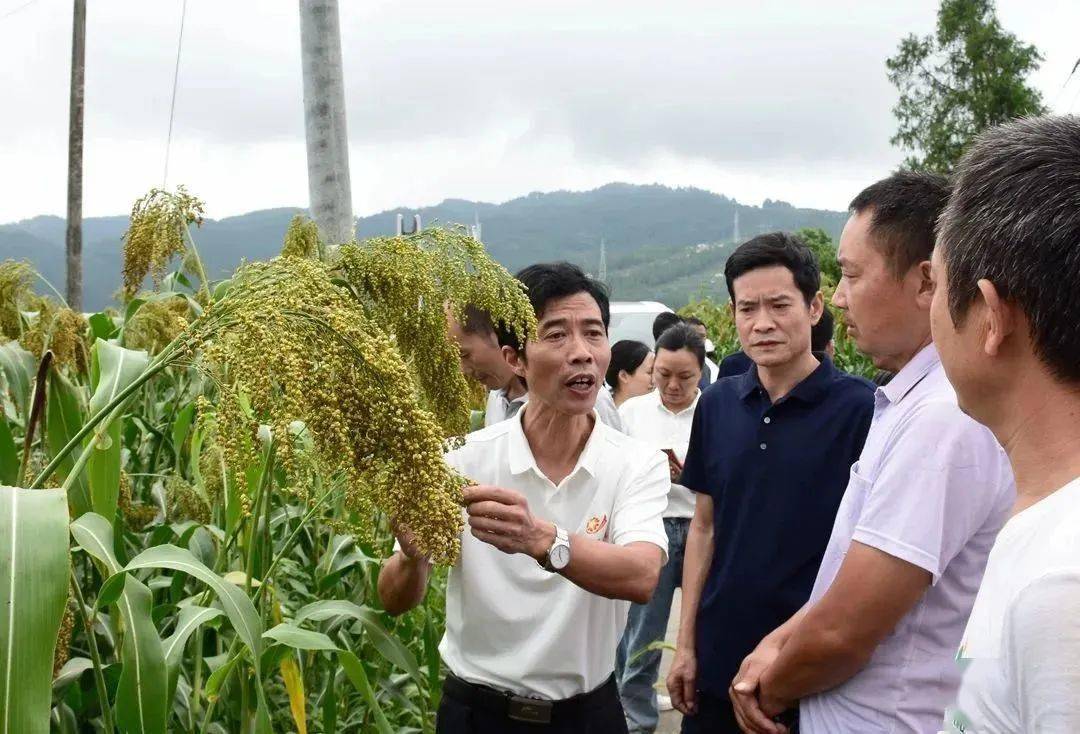 贵州道真县河口镇镇长图片