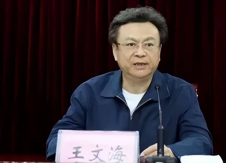 镇平县法院判决书载明,时任河南省司法厅厅长王文海指使曲金华化名