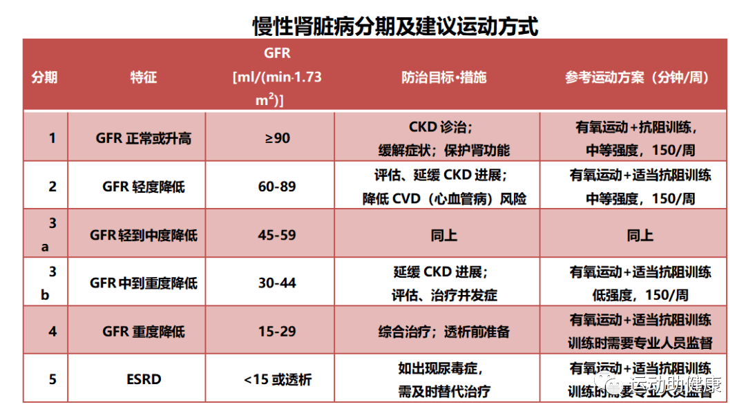 肾功能衰竭分期图片