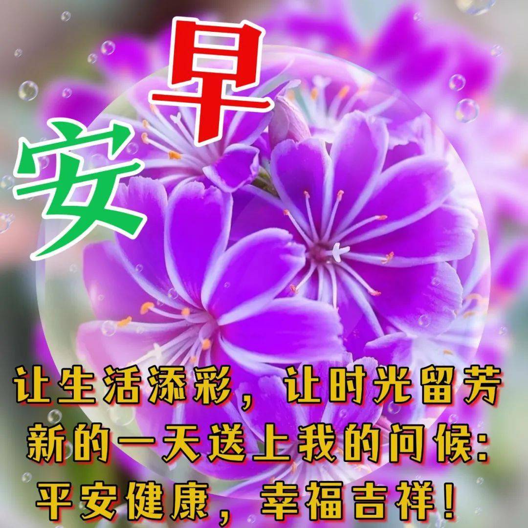 老年朋友问候带字图片图片