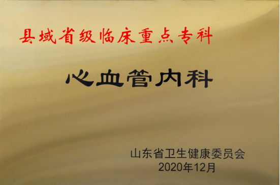 【山东省临床重点专科】博山区医院心血管内科 科室 诊疗 心力衰竭