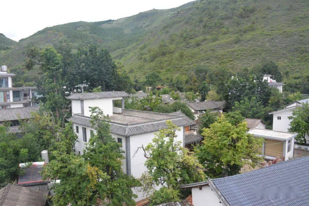 洱源梨园:返璞归真乡愁地_梨树_的发展_喧嚣