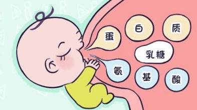 宝宝_母乳_乳房