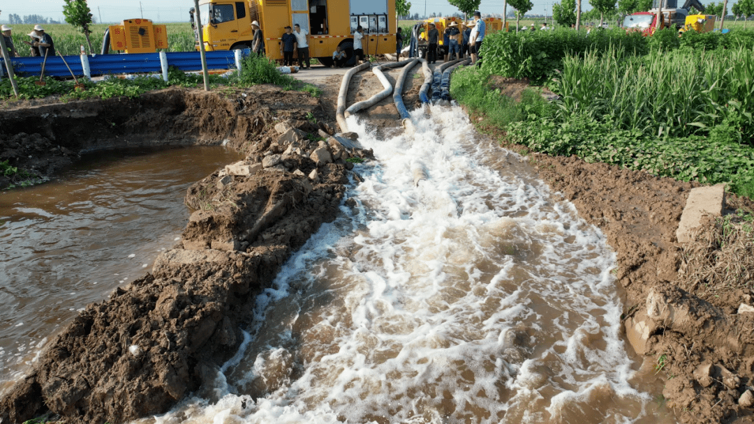 顿坊店乡城郊乡"泵"力全开争分夺秒抢排田间积水_农田_排水_卫辉市